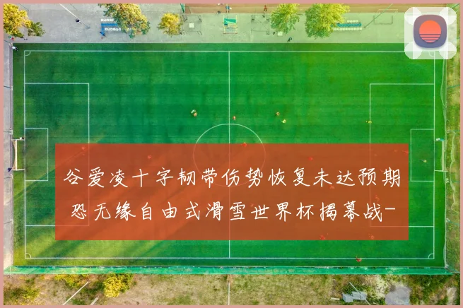 谷爱凌十字韧带伤势恢复未达预期 恐无缘自由式滑雪世界杯揭幕战