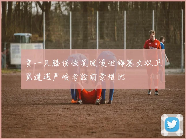 贾一凡膝伤恢复缓慢世锦赛女双卫冕遭遇严峻考验前景堪忧